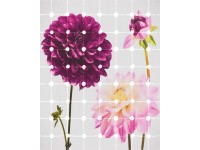 Komar vlies fotótapéta Flowers & Dots 200 cm x 250 cm