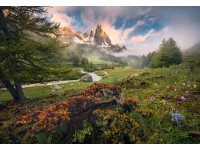 Komar tapéta Morning Walk 368 cm x 254 cm