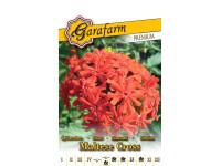 Prémium vetőmag égő szerelem