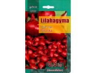 Lilahagyma dughagyma 0,5 kg