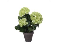 Mica Decorations hortenzia művirág Stan cserépben 40 cm x 35 cm átmérő zöld