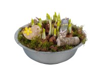 Sárga nárcisz válogatás cinkcserépben cserépátmérő kb. 29 cm