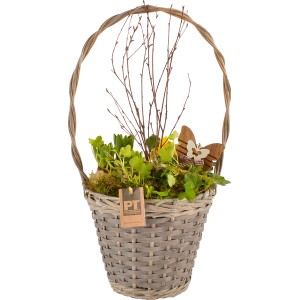 Tavaszi virágkompozíció fogantyús kosárban (Ø 24 cm) erkélyre és teraszra.