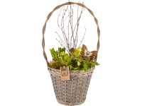 Kompozíció különböző tavaszi virágokkal nagy füles kosárban cserép kb. 24 cm