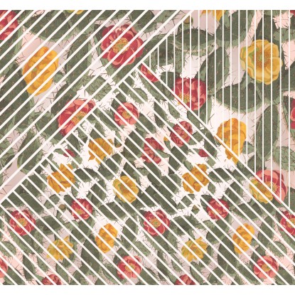 Komar nemszőtt fotótapéta Cactus 300 cm x 280 cm