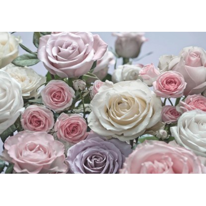 Komar fotótapéta Floraison 368 cm x 254 cm FSC