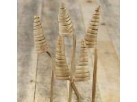 Cane Cone dekor növény Natúr