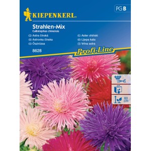Kiepenkerl Strahlen-Mix virágmagok, aszterek különböző színekben.