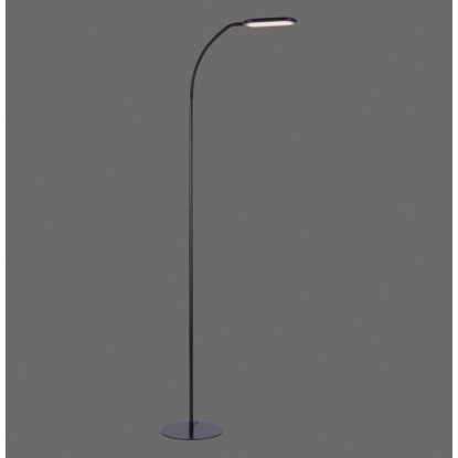 Fekete LED állólámpa Kelly, 175 cm magas, dimmelhető és állítható fényszínnel.
