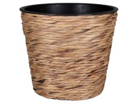 A.H.G. Sticking Roll kaspó vízijácinttal 16 cm x 14 cm natúr