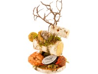 Szarvas madáreledel nyírfa szarvas - átmérő kb. 35 cm x 25 cm Szarvas madáreledel nyírfa szarvas - átmérő kb. 35 cm x 25 cm