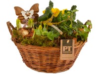 Kompozíció különböző tavaszi virágokkal fűzfakosárban cserépátmérő: kb. 25 cm