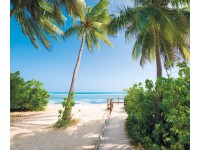 Komar vlies fotótapéta Palmy Beach 300 cm x 250 cm