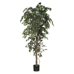 Részletgazdag, zöld mű Ficus fa a Mica Decorations-tól, 210 cm magas, cserépben.