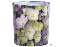 Bolsius üvegpoharas illatmécses hortenzia 80 mm x 70 mm Bolsius üvegpoharas illatmécses hortenzia 80 mm x 70 mm