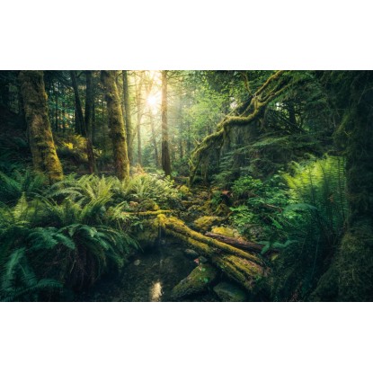 Vlies fotótapéta Elves Cathedral 450 cm x 280 cm