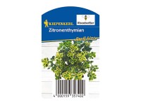 Citromillatú kakukkfű Citromillatú kakukkfű