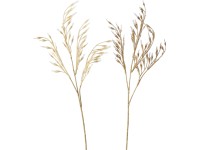 2 részes perje dekor ág 65 cm x 17 cm x 65 cm