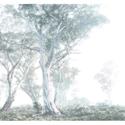 Komar vlies fotótapéta Magic Trees 300 cm x 280 cm