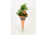 Növénykompozíció trombita alakú vázában cserépátmérő: kb. 16 cm Növénykompozíció trombita alakú vázában cserépátmérő: kb. 16 cm