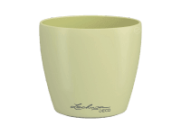 Lechuza Deco 12 kaspó fenyő 13 cm x 13 cm