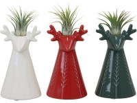Szakállbromélia-kompozíció rénszarvas kerámiaedényben válogatás edény Ø kb. 6 cm