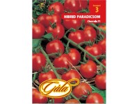 Paradicsom cherrola  gála 3