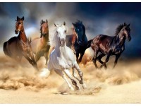 Fotótapéta lovas 160 cm x 110 cm