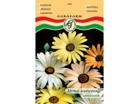 Afrikai aranyvirág színkev. vetőmag