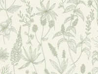 Zöld rajzolt levél mintás tapéta 10 m x 0,53 m Zöld rajzolt levél mintás tapéta 10 m x 0,53 m