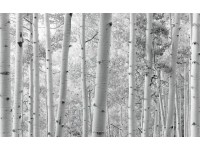 Vlies fotótapéta Espenwald 450 cm x 280 cm Vlies fotótapéta Espenwald 450 cm x 280 cm