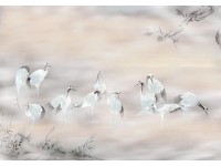 Komar vlies fotótapéta Fulfillness 400 cm x 280 cm