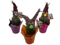 Közönséges csarab kompozíció Közönséges csarab kompozíció