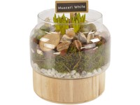 Tavaszi kompozíció fehér gyöngyikékkel üveg kaspóban cserépátmérő: kb. 17 cm