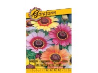 Margaréta egyny.szk vetőmag