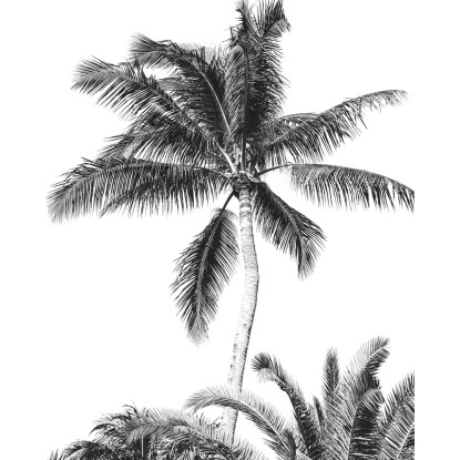 Komar vlies fotótapéta Retro Palm 200 cm x 250 cm