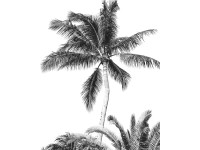 Komar vlies fotótapéta Retro Palm 200 cm x 250 cm