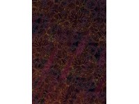 Komar vlies fotótapéta Lotus 200 cm x 280 cm