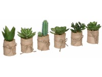 Mica Decorations műnövény pozsgás növényválogatás cserépátmérő 5cm x 12cm zöld