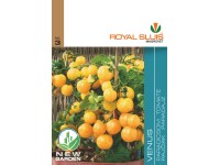 Paradicsom Venus 20 Szem