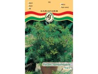 Kapor vetőmag Kapor vetőmag