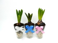 Hagymás mix üvegkehelyben