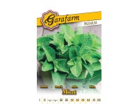 Prémium vetőmag zöld menta Prémium vetőmag zöld menta