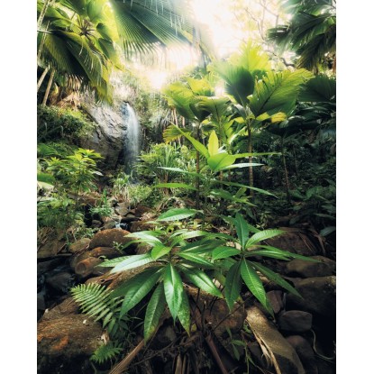 Komar vlies fotótapéta Spirit 200 cm x 250 cm