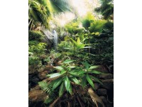 Komar vlies fotótapéta Spirit 200 cm x 250 cm