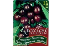 Gyökércsomagolt cseresznye