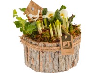 Kompozíció különböző tavaszi virágokkal fa kaspóban cserépátmérő: kb. 20 cm