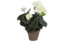 Mica Decorations krémszínű gólyaorr magasság 34 cm átmérő 20 cm Stan cserépben