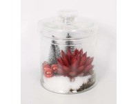 Karácsonyi fáskövirózsa kompozíció fedeles üvegben cserépátmérő: kb. 17 cm