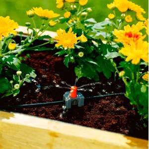 Gardena kis területű fúvóka a Micro-Drip rendszerben virágokat öntöz egy ágyásban.